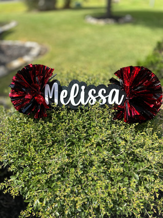 Name cheer sticks misc